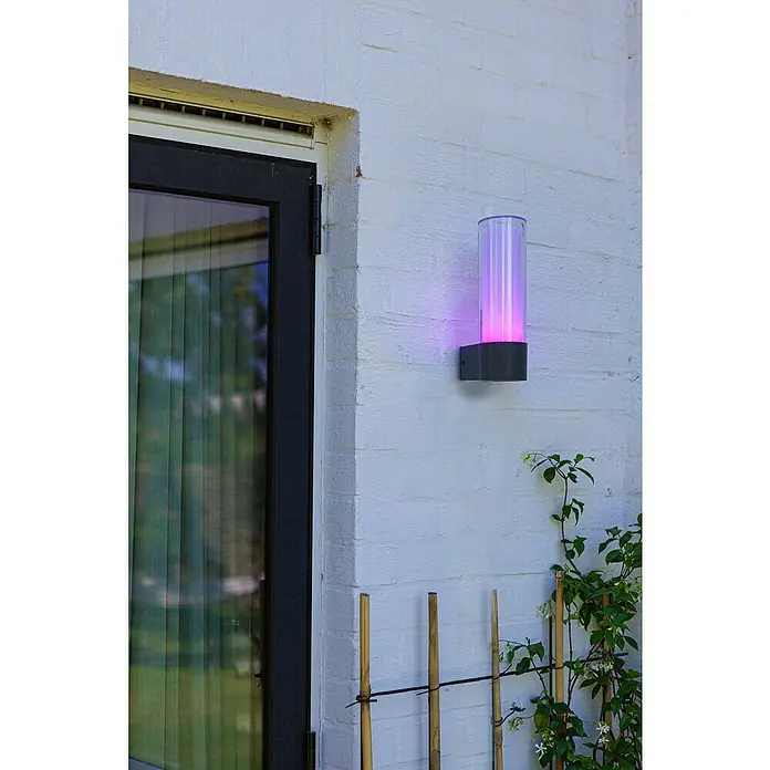 Lutec Aplique exterior LED Dropa - 10 W, 8,2 x 11,2 x 26 cm, Gris oscuro, IP44 - Lámpara de pared con luz cilíndrica de colores, montada en una pared de ladrillo blanco, junto a una puerta y plantas.