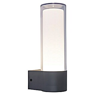 Lutec Aplique exterior LED Dropa (10 W, 8,2 x 11,2 x 26 cm, Gris oscuro, IP44)
