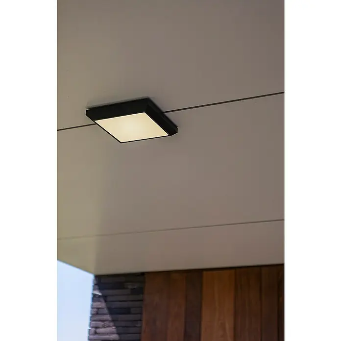 Lutec Aplique exterior LED Helena - 20 W, 36 x 220 x 220 mm, Gris oscuro, IP54 - Lámpara de techo LED cuadrada con marco negro que proporciona una iluminación brillante y uniforme para exteriores.