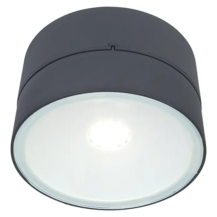 Lutec LED-Außenwandleuchte - 6,7 W, Anthrazit - Nahaufnahme einer modernen, zylinderförmigen Deckenleuchte in dunkler Farbe mit leuchtend weißem Licht.