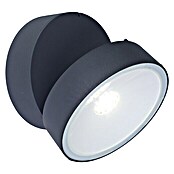 Lutec LED-Außenwandleuchte (6,7 W, Anthrazit) | BAUHAUS