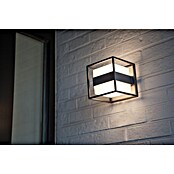 Lutec Aplique exterior LED Cruz (13 W, 140 x 140 x 148 mm, Gris oscuro, IP54) | BAUHAUS