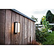 Lutec LED-Außenwandleuchte (18 W, Warmweiß)