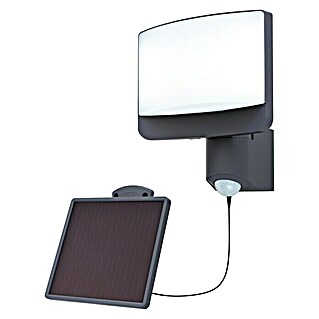 Lutec Aplique solar LED para exterior solar Sunshine (Sensor, Plástico, Blanco diurno, Gris)