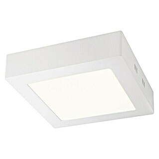 Home Sweet Home LED-Deckenleuchte Ska (12 W, L x B x H: 17 x 17 x 4 cm, Weiß, Warmweiß)