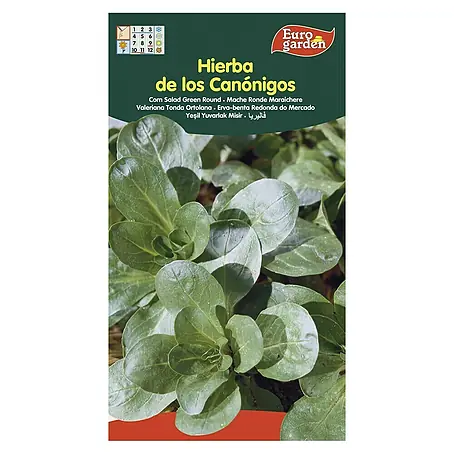 Euro Garden  Semillas de lechuga Canónigos