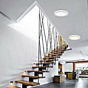 Muvit Plafón LED redondo WIFI (30 W, Blanco) | BAUHAUS
