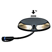 Paulmann Plug & Shine LED-Außenleuchte (6 W, Warmweiß, IP67, Ø x H: 16 x 3,2 cm)