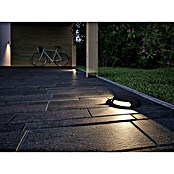 Paulmann Plug & Shine LED-Außenleuchte (6 W, Warmweiß, IP67, Ø x H: 16 x 3,2 cm)
