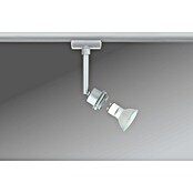 Paulmann URail Foco LED para riel (3,5 W, Color de luz: Blanco cálido)