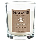 Duftkerze Sences of Nature (Im Glas, Exotic Rose, Ø x H: 7 x 8,5 cm) | BAUHAUS