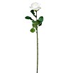 Kunstblume Rose (Höhe: 69 cm, Cremeweiß, Kunststoff) | BAUHAUS