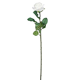 Umetna roža Orhideja (Višina: 69 cm, Bela, Plastika)