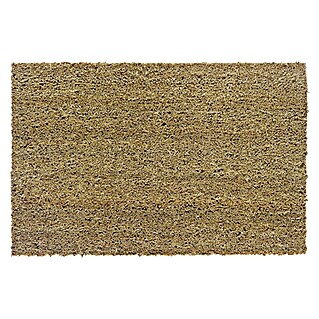 Astra Fußmatte (40 x 60 cm, Natur, Material Nutzschicht: 100 % Kokos, Höhe: 15 mm)