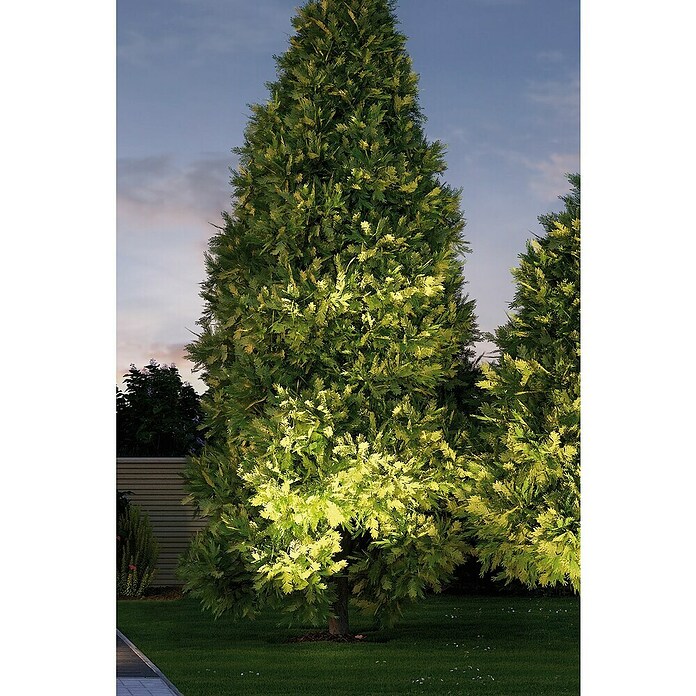 Paulmann Plug & Shine LED-Gartenspot (6 W, Warmweiß, IP67, Ø x H: 14 x 15 cm, Abstrahlwinkel: 20 °)