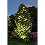 Paulmann Plug & Shine LED-Gartenspot (6 W, Warmweiß, IP67, Ø x H: 14 x 15 cm, Abstrahlwinkel: 20 °)