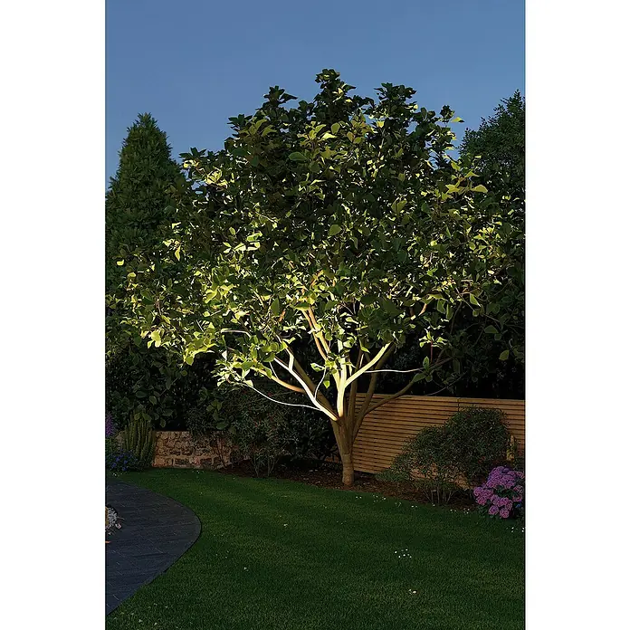 Paulmann Plug & Shine LED-Gartenspot - 6 W, Warmweiß, IP67, Ø x H: 14 x 15 cm, Abstrahlwinkel: 38 ° - Beleuchteter Baum im Garten. Das Licht betont die Form des Baumes und schafft eine angenehme Atmosphäre im Garten.