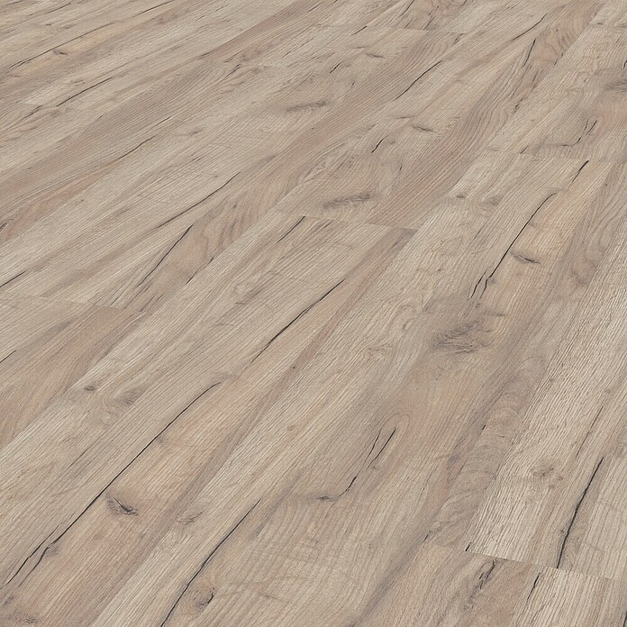 LOGOCLIC Family Laminaat sample Laminaat Eiken Esperia (297 x 195 x 1 mm, Planken) | BAUHAUS