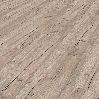 LOGOCLIC Family Laminaat sample Laminaat Eiken Esperia (297 x 195 x 1 mm, Planken)
