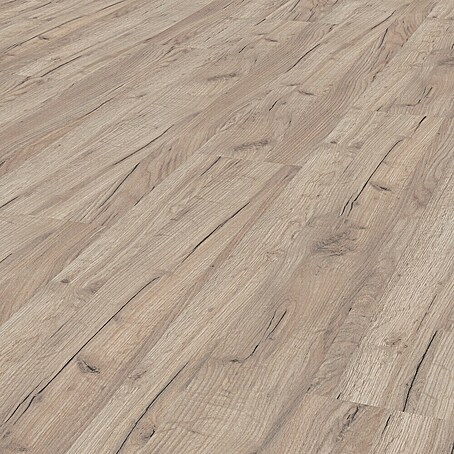 LOGOCLIC Family Laminatmuster Eiche Esperia (297 x 195 x 1 mm, Landhausdiele)