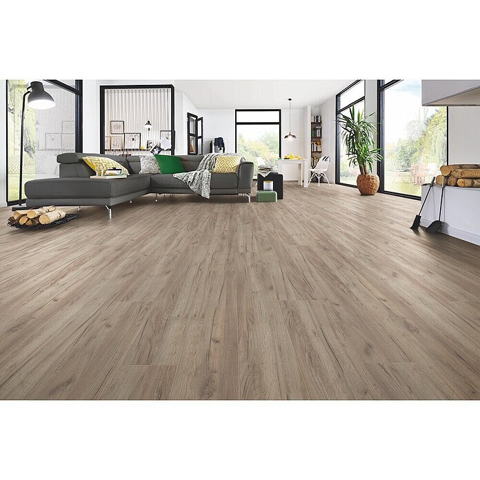LOGOCLIC Family Laminaat sample Laminaat Eiken Esperia (297 x 195 x 1 mm, Planken) | BAUHAUS