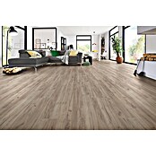 LOGOCLIC Family Laminaat sample Laminaat Eiken Esperia (297 x 195 x 1 mm, Planken) | BAUHAUS