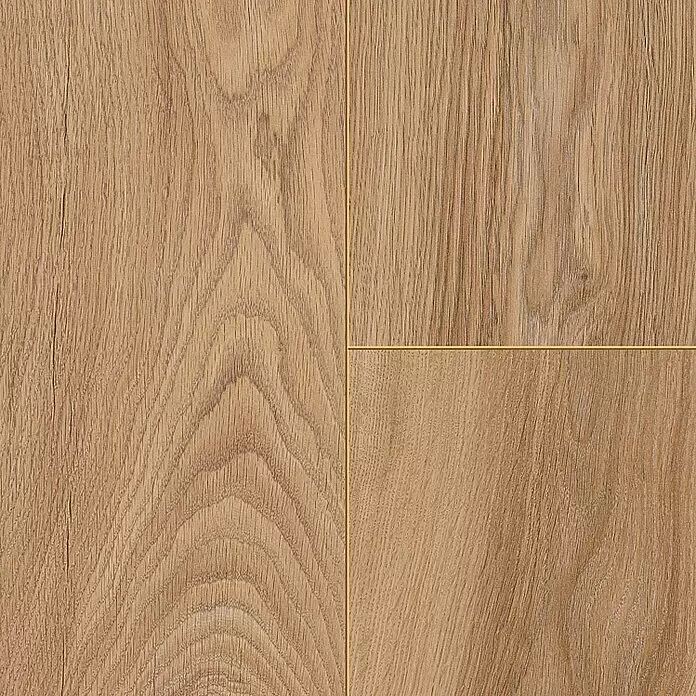 LOGOCLIC Edition Laminat Vinto Sundance Oak - Sundance Oak, Landhausdiele, 1.288 x 195 x 8 mm - Hellebraune Holzoptik-Bodenbelag mit natürlicher Maserung.