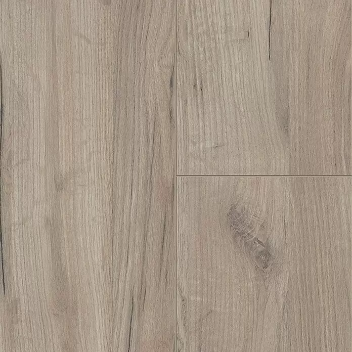 LOGOCLIC Family Laminatmuster Eiche Esperia - 297 x 195 x 1 mm, Landhausdiele - Detailaufnahme