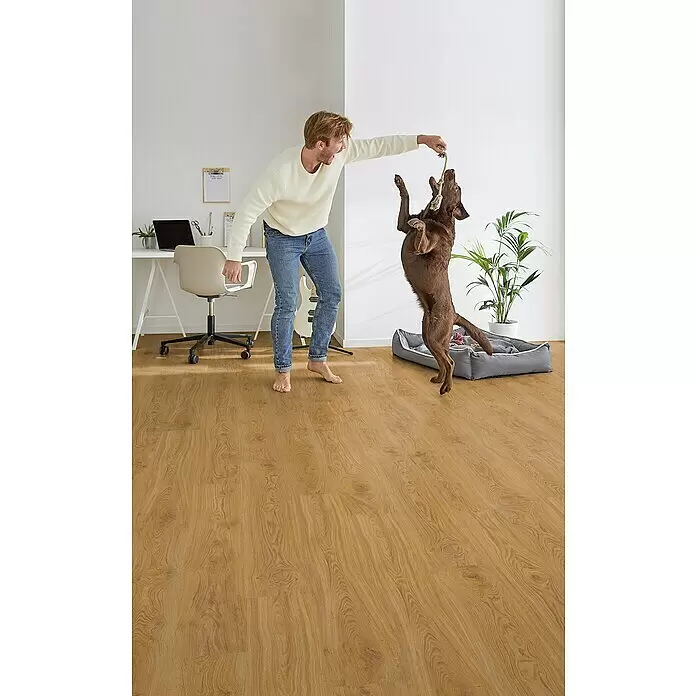 Corklife Freestyle Korkboden - Oak Natur, Landhausdiele, 1.220 x 185 x 8,5 mm - Ein Mann und sein Hund spielen auf einem hellbraunen Holzfußboden in einem Wohnambiente, was die Wärme und Strapazierfähigkeit des Bodens hervorhebt.