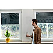Schellenberg Roletno stikalo  (Dvojno preklopno stikalo) | 1358 - Rollladen/Zubehör Sonstiges | AAHF - Rolladenzubehör | AAH - Sicherheit | AA - Eisenwaren | A - Eisenwaren | BAUHAUS