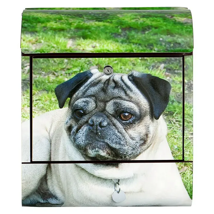 Wandbriefkasten - L x B x H: 12 x 38 x 45 cm, Stahl, Zeitungsfach, Mops - Dieser Briefkasten hat ein niedliches Mops-Design und ist die perfekte Ergänzung für jedes Zuhause. Er ist sowohl funktional als auch dekorativ.