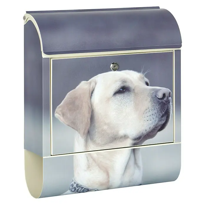 Wandbriefkasten - L x B x H: 12 x 38 x 45 cm, Stahl, Zeitungsfach, Labrador - Briefkasten mit Labrador-Motiv. Robuster Briefkasten, ideal für Hundeliebhaber. Praktisch und dekorativ für den Hauseingang.