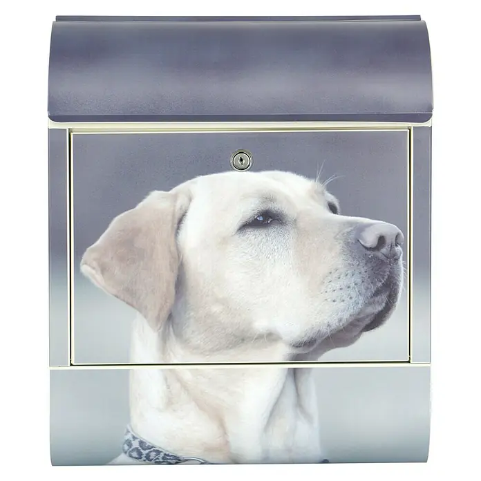 Wandbriefkasten - L x B x H: 12 x 38 x 45 cm, Stahl, Zeitungsfach, Labrador - Ein dekorativer Briefkasten mit dem Bild eines gelben Labradors. Der Briefkasten ist eine stilvolle Ergänzung für jeden Hauseingang.