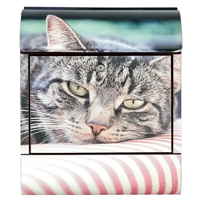 Wandbriefkasten - L x B x H: 12 x 38 x 45 cm, Stahl, Zeitungsfach, Katze - Einzigartiger Briefkasten mit Katzenmotiv, das perfekte Accessoire für jeden Katzenliebhaber, der seinem Zuhause eine persönliche Note verleihen möchte.