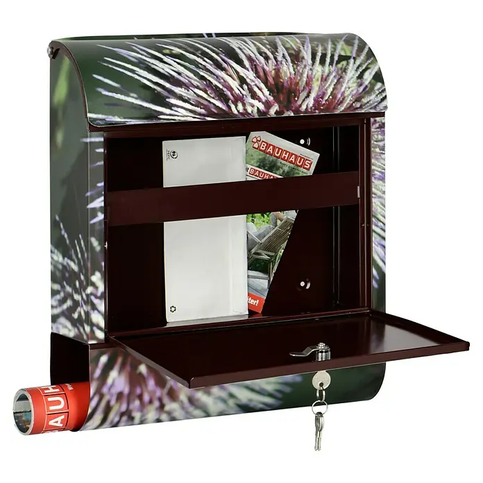 Wandbriefkasten - L x B x H: 12 x 38 x 45 cm, Stahl, Zeitungsfach, Sterndalie - Ein dekorativer Briefkasten mit einem modernen Distel-Design, inklusive Zeitungsfach und Schloss mit Schlüssel für mehr Sicherheit.