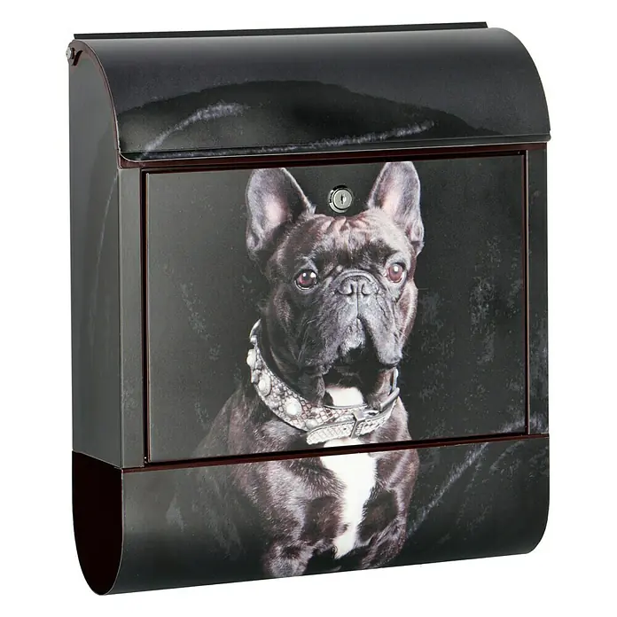 WandbriefkastenL x B x H: 12 x 38 x 45 cm, Stahl, Zeitungsfach, Französische Bulldogge