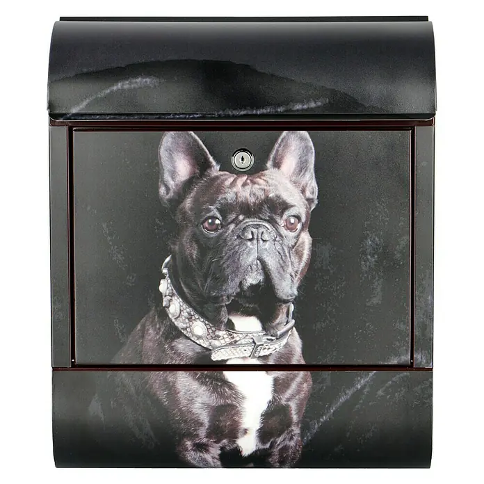 WandbriefkastenL x B x H: 12 x 38 x 45 cm, Stahl, Zeitungsfach, Französische Bulldogge - Dieser Briefkasten besticht durch sein einzigartiges Design mit einem stilvollen Hundemotiv, das jedem Eingangsbereich eine persönliche Note verleiht.