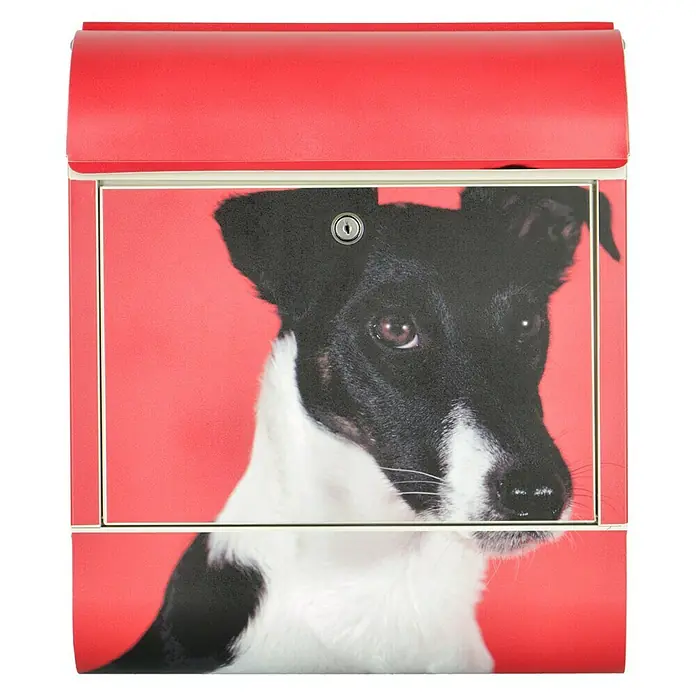 Wandbriefkasten - L x B x H: 12 x 38 x 45 cm, Stahl, Zeitungsfach, Foxterrier - Ein leuchtend roter Briefkasten mit einem niedlichen schwarz-weißen Hundedruck auf der Vorderseite, der einen verspielten Charme versprüht.
