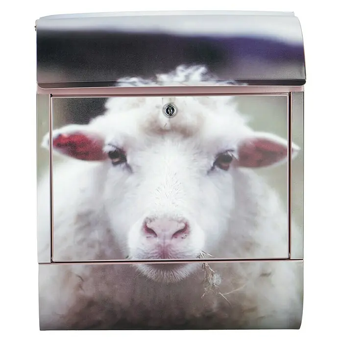 Wandbriefkasten - L x B x H: 12 x 38 x 45 cm, Stahl, Zeitungsfach, Schaf - Dieser Briefkasten mit Schafmotiv ist ein echter Hingucker. Er verleiht jedem Eingangsbereich einen rustikalen Charme.