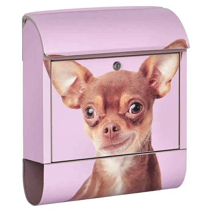 Wandbriefkasten - L x B x H: 12 cm x 380 mm x 45 cm, Stahl, Zeitungsfach, Chihuahua - Rosa Briefkasten mit dem Bild eines Chihuahuas, der ein freundliches Gesicht zeigt, ein niedliches und auffälliges Design.