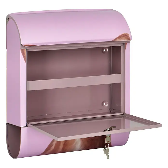 Wandbriefkasten - L x B x H: 12 cm x 380 mm x 45 cm, Stahl, Zeitungsfach, Chihuahua - Ein offener, rosafarbener Briefkasten mit Schloss und Schlüssel. Der Briefkasten ist leer und bereit zur Nutzung.