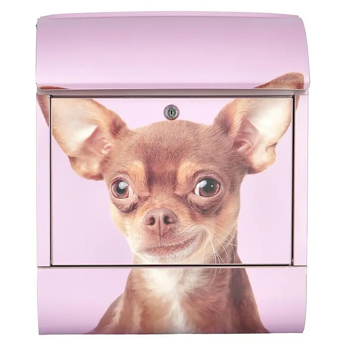 Wandbriefkasten - L x B x H: 12 cm x 380 mm x 45 cm, Stahl, Zeitungsfach, Chihuahua - Dieser Briefkasten mit Hunde-Design ist ein echter Hingucker. Das niedliche Chihuahua-Motiv macht ihn zu etwas Besonderem.
