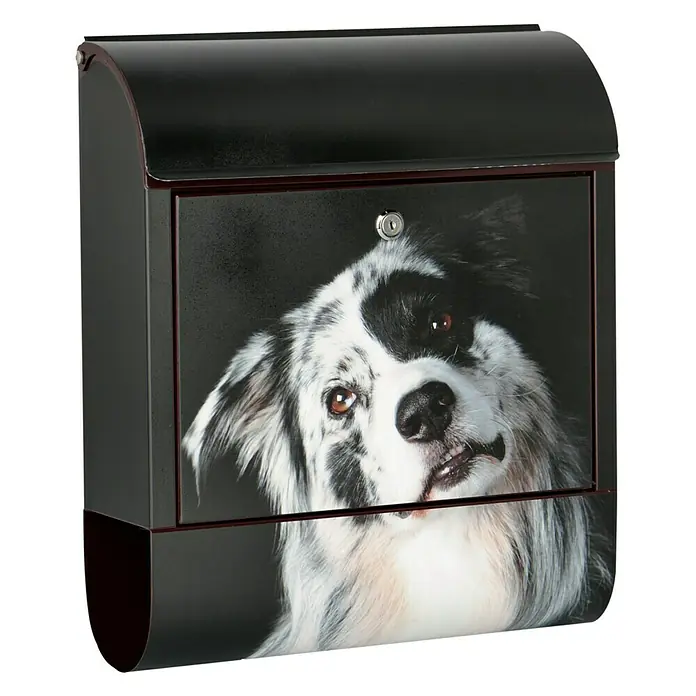Wandbriefkasten - L x B x H: 12 cm x 380 mm x 45 cm, Stahl, Zeitungsfach, Australian Shepherd - Ein detailreicher Briefkasten mit dem Bild eines entzückenden Australian Shepherd Hundes auf der Vorderseite.