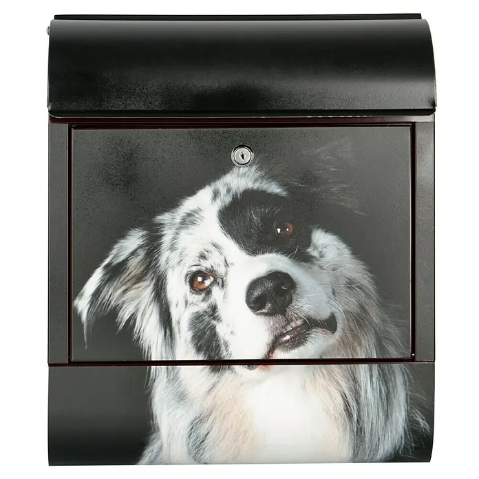 Wandbriefkasten - L x B x H: 12 cm x 380 mm x 45 cm, Stahl, Zeitungsfach, Australian Shepherd - Dieser Briefkasten mit Hundemotiv ist ein toller Blickfang für jedes Zuhause. Er ist robust, wetterfest und bietet ausreichend Platz für Ihre Post.