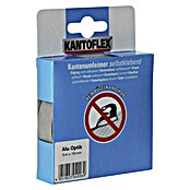 Kantoflex Umleimer (Aluminium-Optik, L x B: 5 m x 19 mm)