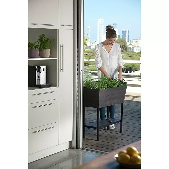 Keter Hochbeet Urban Bloomer - 82 x 38 x 78 cm, Kunststoff, Anthrazit - Anwendungsbeispiel