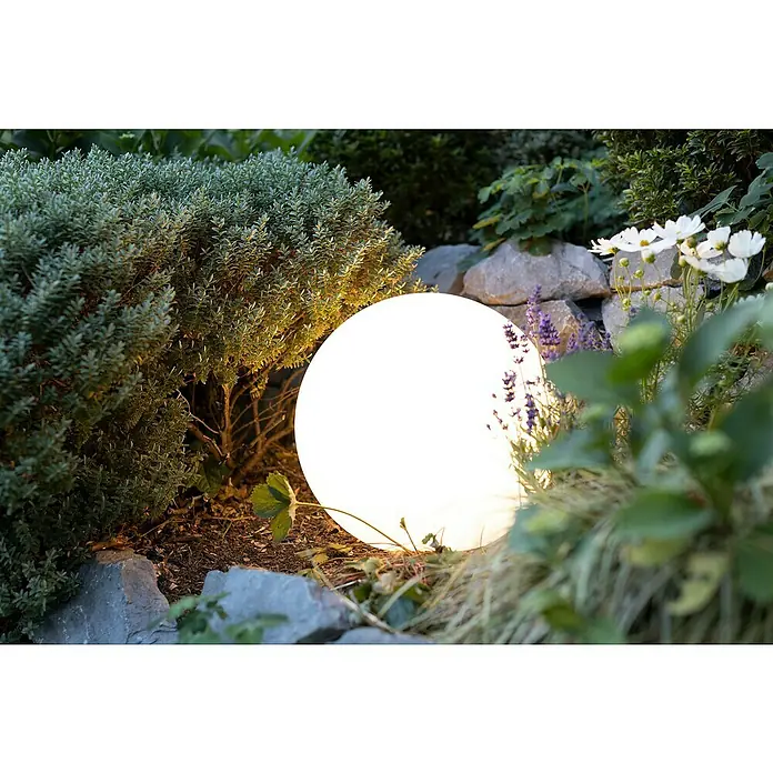 8 Seasons Design Shining Dekoleuchte rund Globe - 9 W, Weiß, Durchmesser: 40 cm - Gartenleuchte: Eine runde, leuchtende Gartenleuchte erhellt einen Garten mit Blumen und Büschen und sorgt für eine stimmungsvolle Atmosphäre.