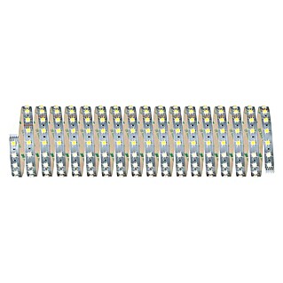 Paulmann MaxLED LED-Band Function  (L x H: 10 m x 3 mm, Silber)