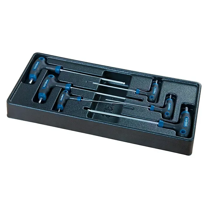 Scheppach Werkstattwagen TW 1000 - L x B x H: 77 x 46 x 97 cm, Stahl, 263 -tlg. - Satz von Innensechskant-Schraubendrehern mit T-Griff in verschiedenen Größen, ordentlich in einer schwarzen Kunststoffbox präsentiert.