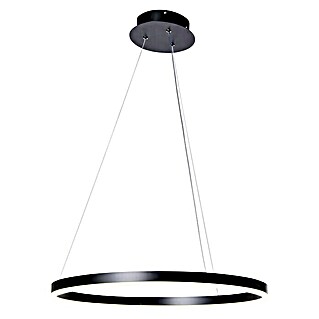 Direct Signs LED-Pendelleuchte Noble (Durchmesser: 600 mm, Schwarz)